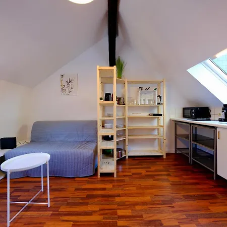 Apartment Le Toit Des Carmes - Centre - 4 Pers *