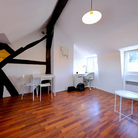 Apartment Le Toit Des Carmes - Centre - 4 Pers *