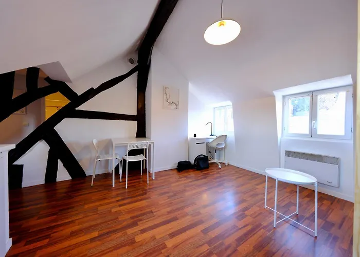 Apartment Le Toit Des Carmes *